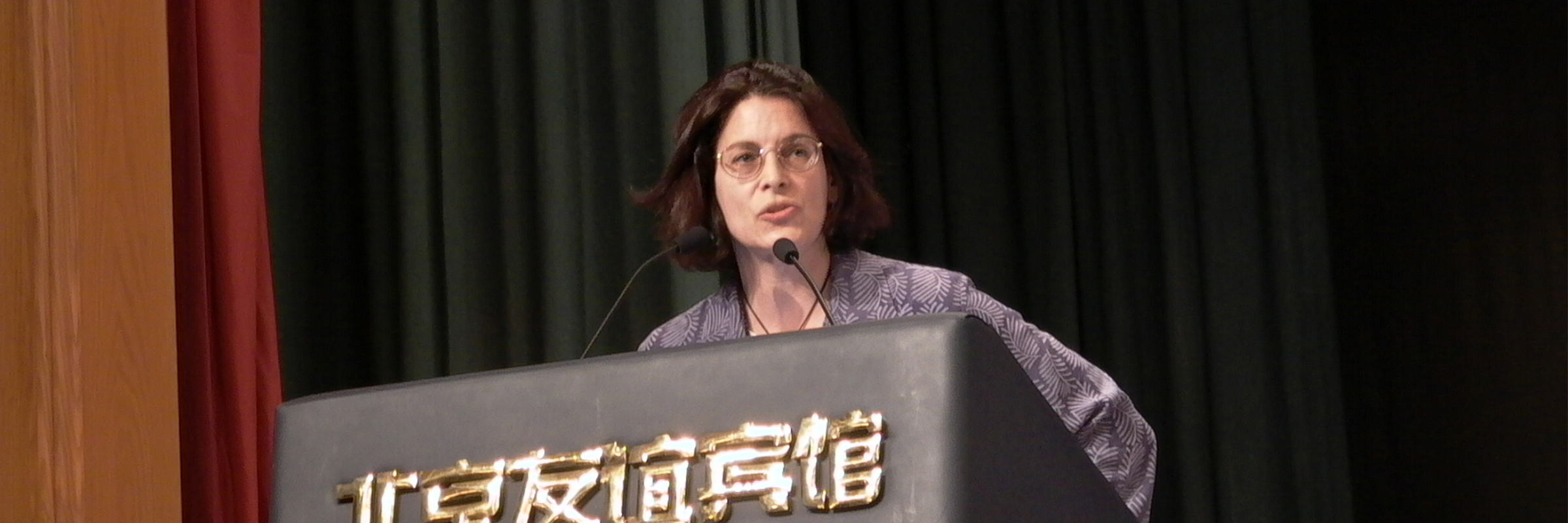 Sarah Michaels, Ninth International Conference on Learning, Beijing Normal University, Beijing, China (2002) Sarah Michaels, Ninth International Conference on Learning, Beijing Normal University, Beijing, China (2002)